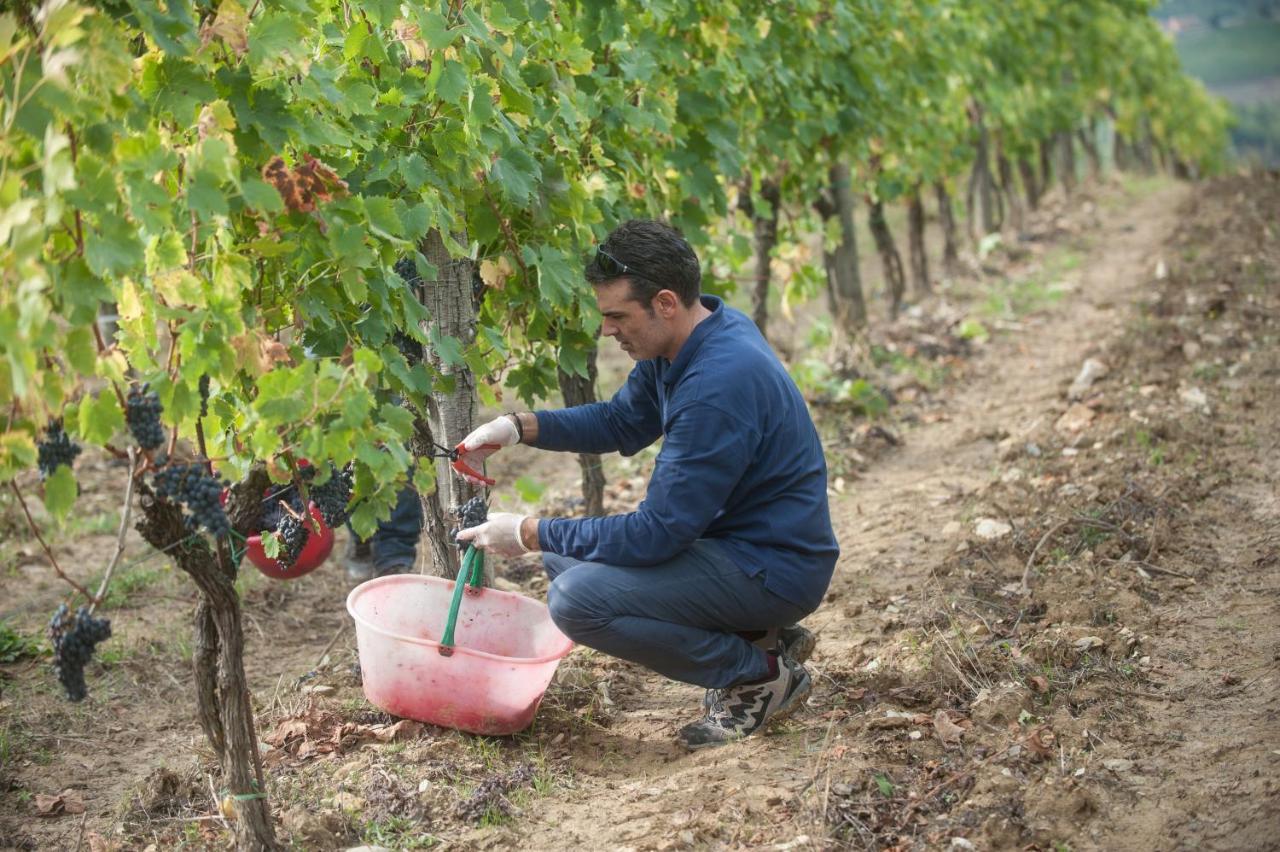 La Valletta Boutique Wine Estate Panzano in Chianti Buitenkant foto