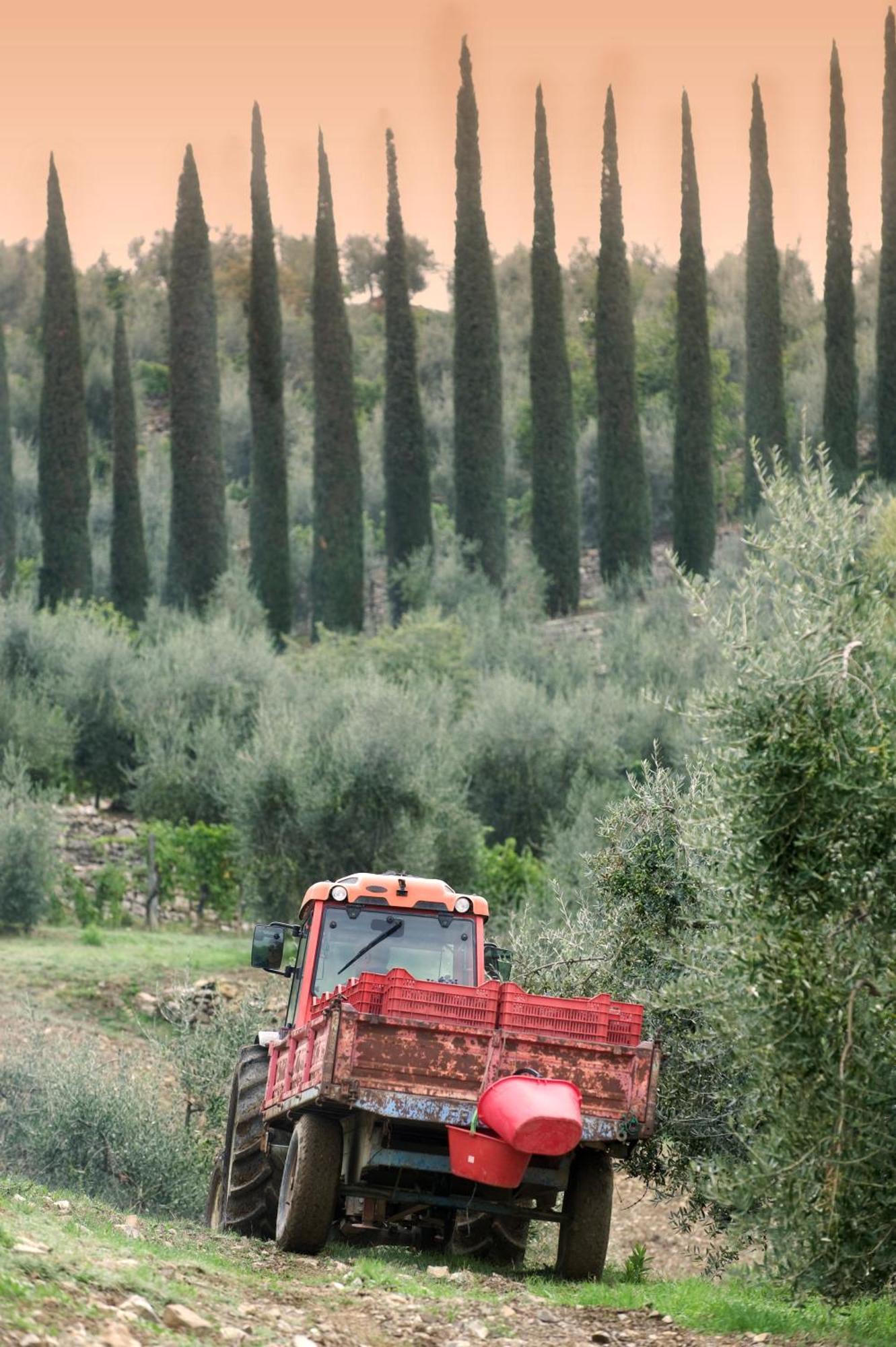La Valletta Boutique Wine Estate Panzano in Chianti Buitenkant foto